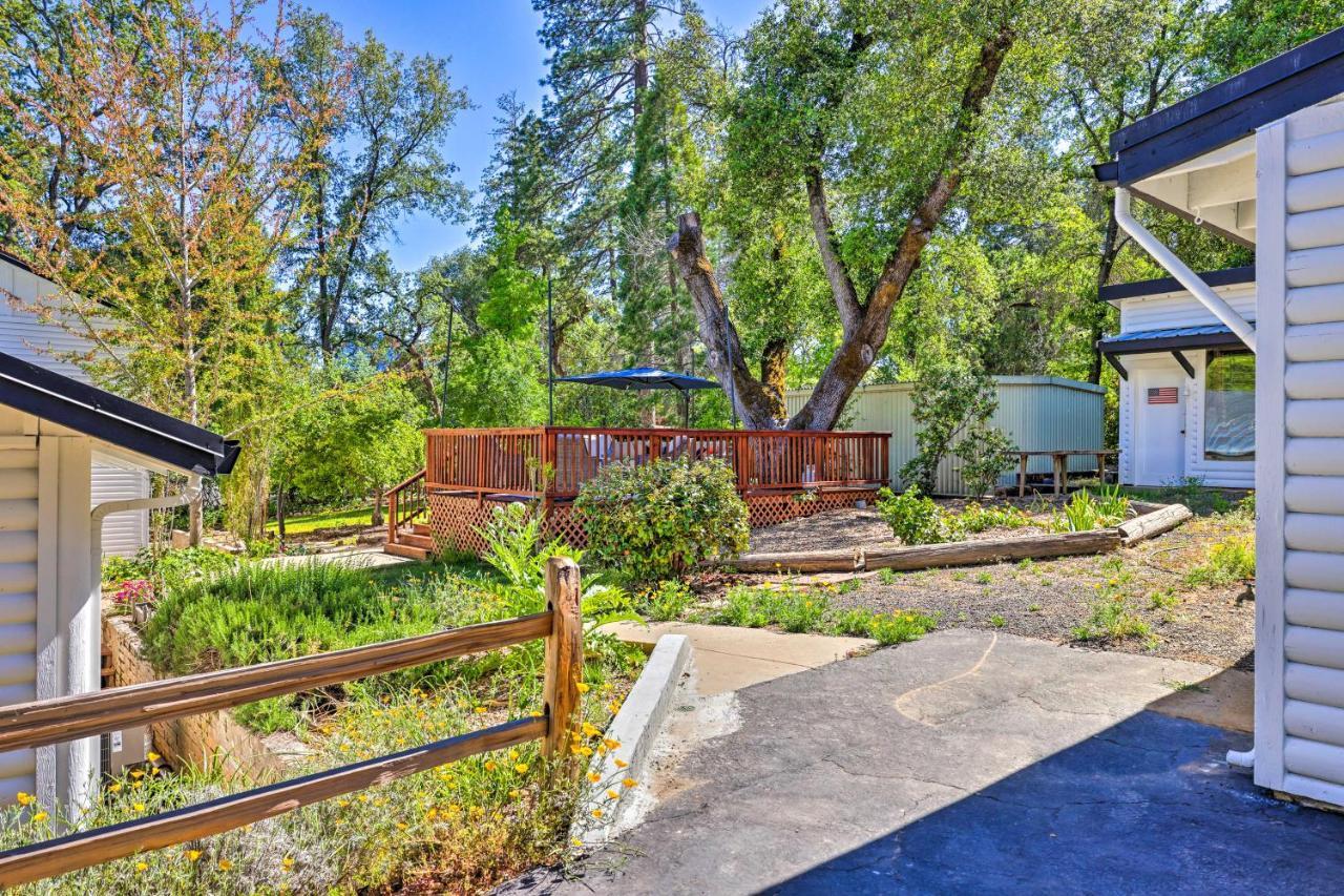 Beautiful Cottage, Steps To Downtown Murphys! Buitenkant foto