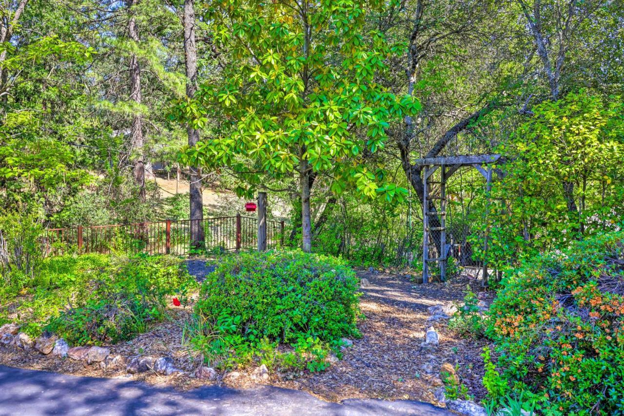 Beautiful Cottage, Steps To Downtown Murphys! Buitenkant foto