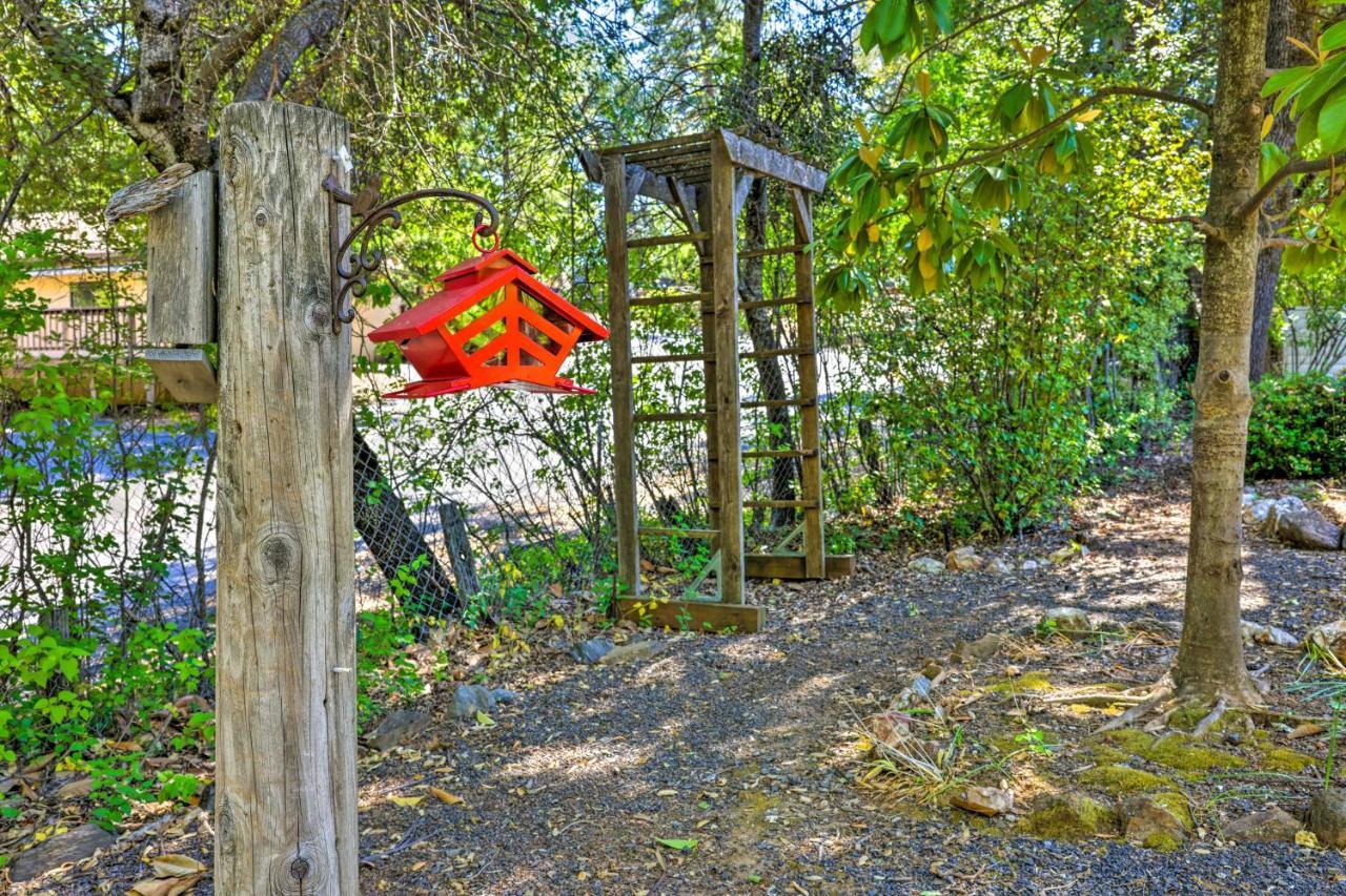 Beautiful Cottage, Steps To Downtown Murphys! Buitenkant foto